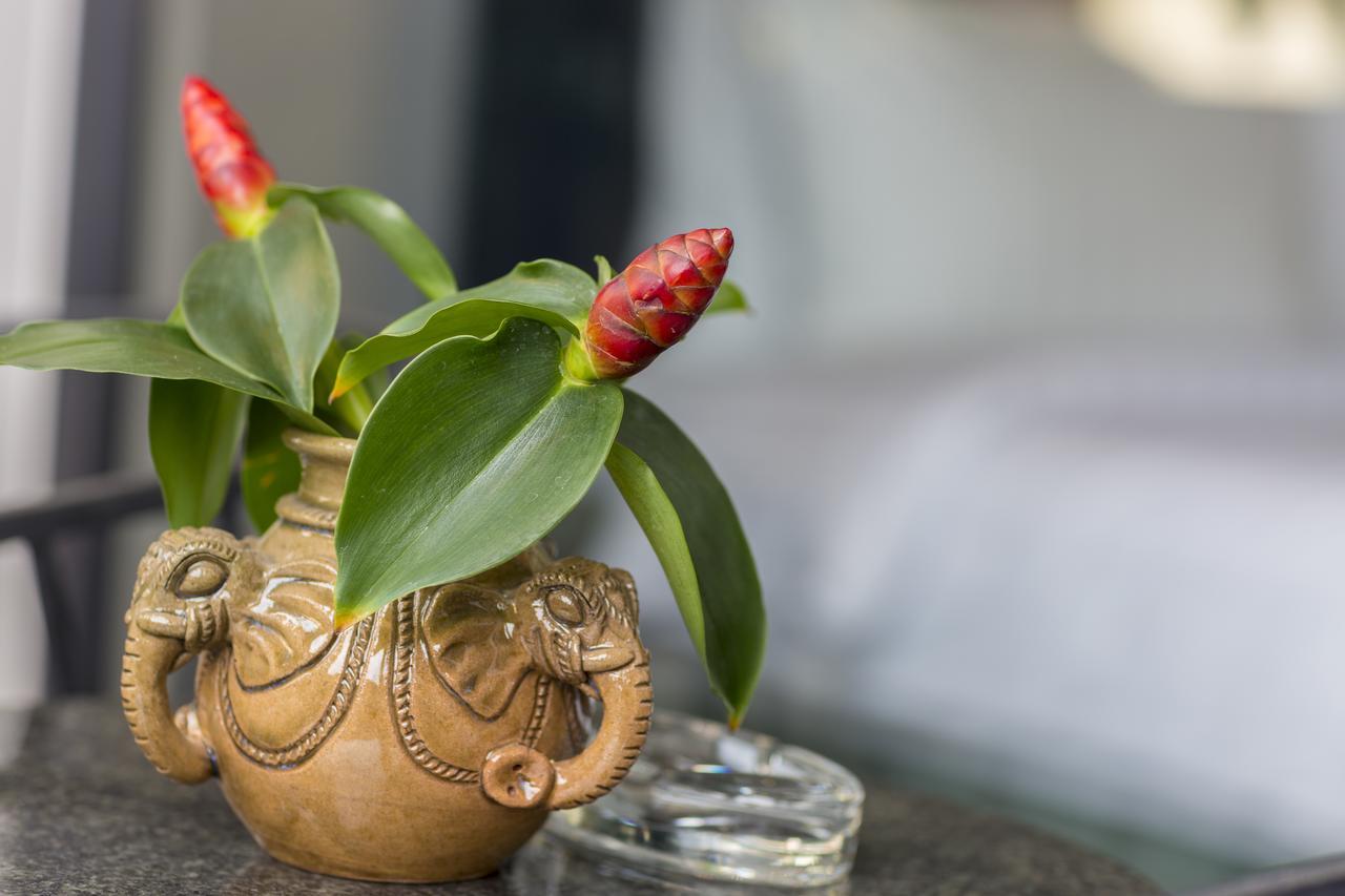 سيام ريب Elia Boutique Hotel المظهر الخارجي الصورة